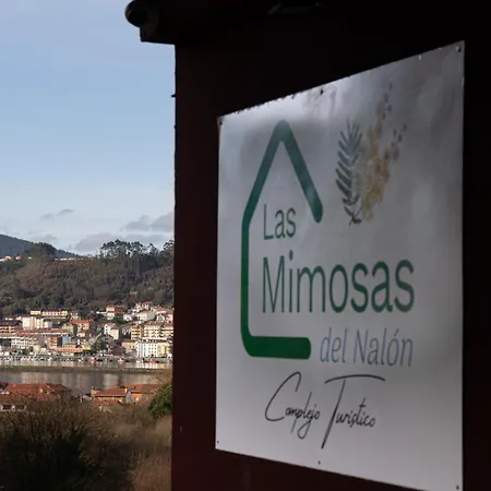 Mimosas Del Nalon * San Juan De La Arena
