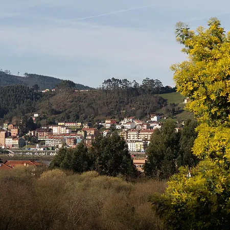Mimosas Del Nalon San Juan De La Arena